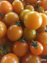 Load image into Gallery viewer, Tomatoes COMING Summer 2024
