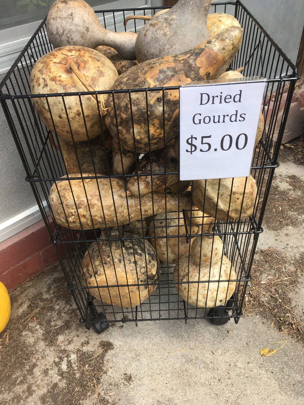 Dried gourds