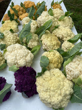 Load image into Gallery viewer, Cauliflower - For Summer and Fall 2024
