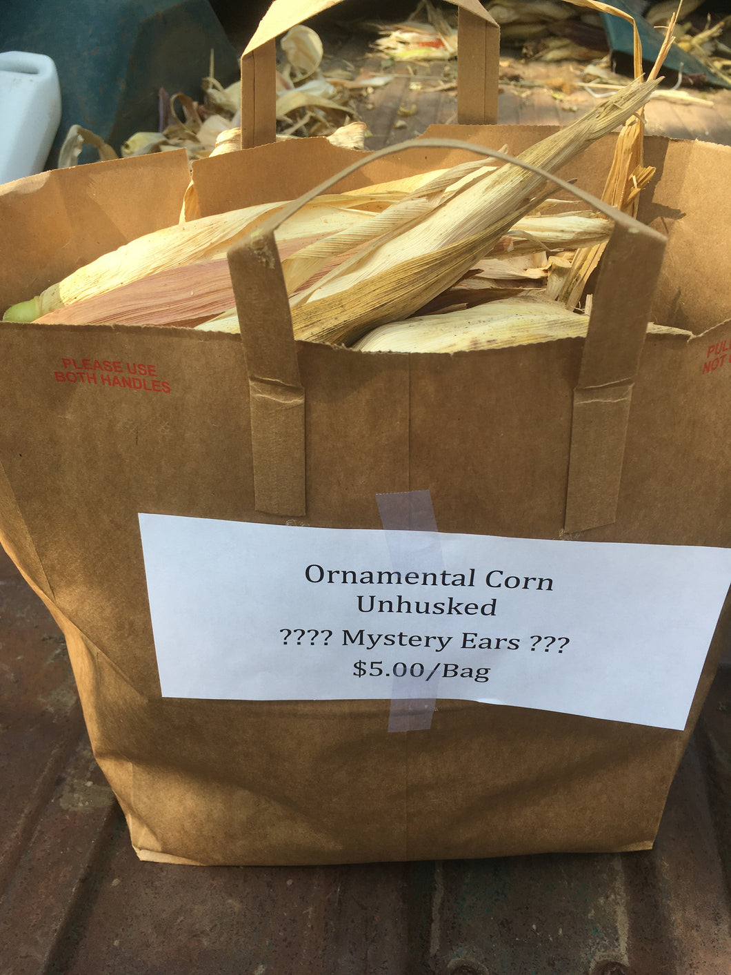 Bag of Ornamental Corn - Local Pickup